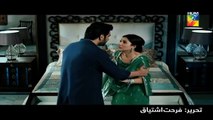 Bin Roye Drama | 3rd Promo | HUM TV Drama