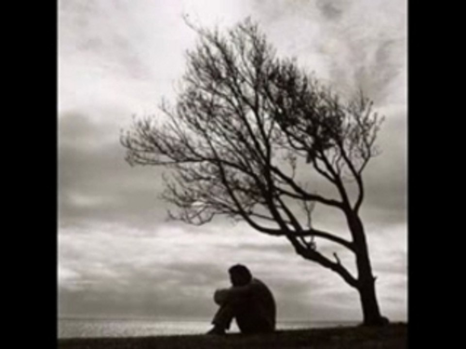 Mezoued.F.Ben Gamra Donia Bkhout