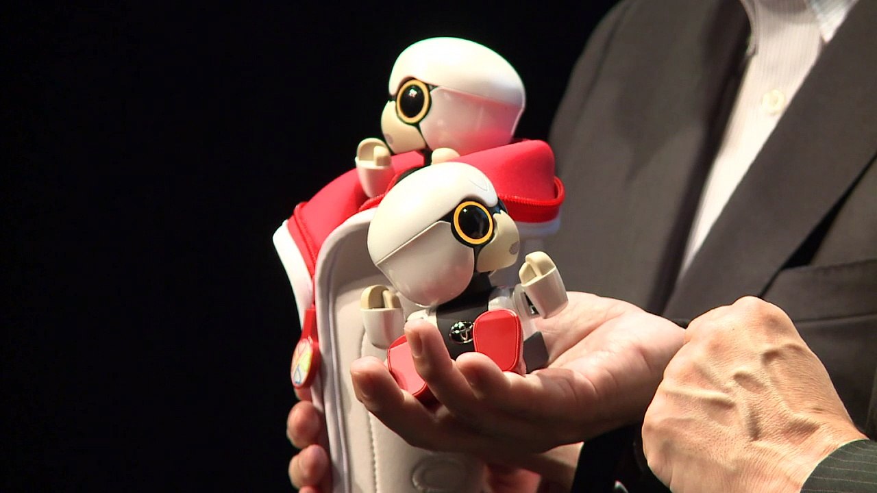 Presentan robot parlante para acompañar humanos