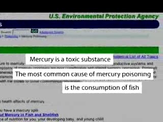 Top Three Reasons Not to Eat Fish