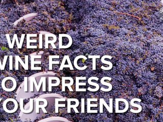7 weird wine facts to impress your friends - ABC15 Digital