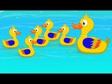 Five Little Ducks Went Swimming One Day | Children's Song