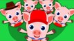 Five Little Piggies | Nursery Rhymes For Kids And Childrens | Baby Songs