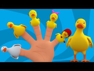 Finger Family Song With Mr.Duck And His Family | Kids TV