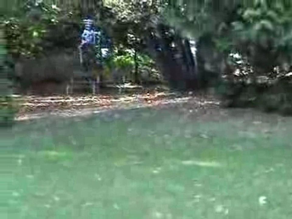 TREX SE