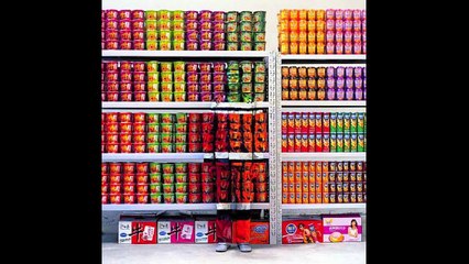 TOP 100 Body Painting - Art of Camouflage - Episode 2/2