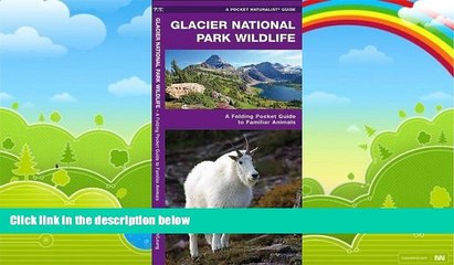 Big Deals  Glacier National Park Wildlife: A Folding Pocket Guide to Familiar Species (Pocket