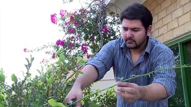 Happiness for some in Pakistan's gated communities