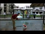 Video - humour - gag chien