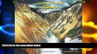 Must Have PDF  Yellowstone   Grand Teton Splendor  Free Full Read Best Seller