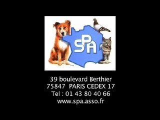 SPOT CONTRE LA CORRIDA 3