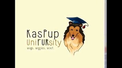 Dog and puppy training Singapore-- Kaspu Punifursity