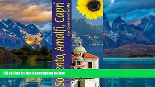 Big Deals  Sorrento, Amalfi Coast   Capri: Car Tours and Walks (Sunflower Landscapes)  Free Full