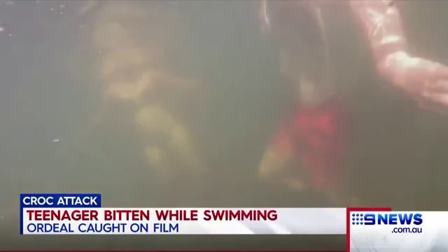 Morsure d'un crocodile filmée sous l'eau par une GoPro !