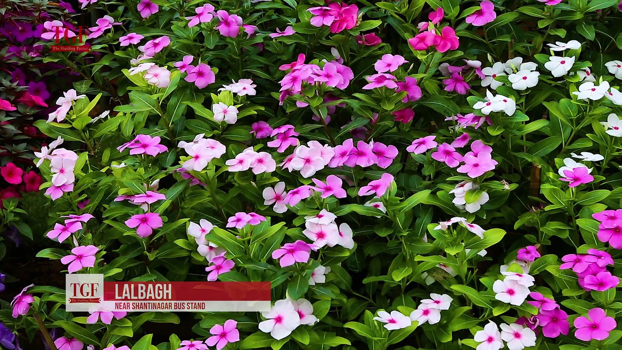 Cultural Landmarks in Bangalore