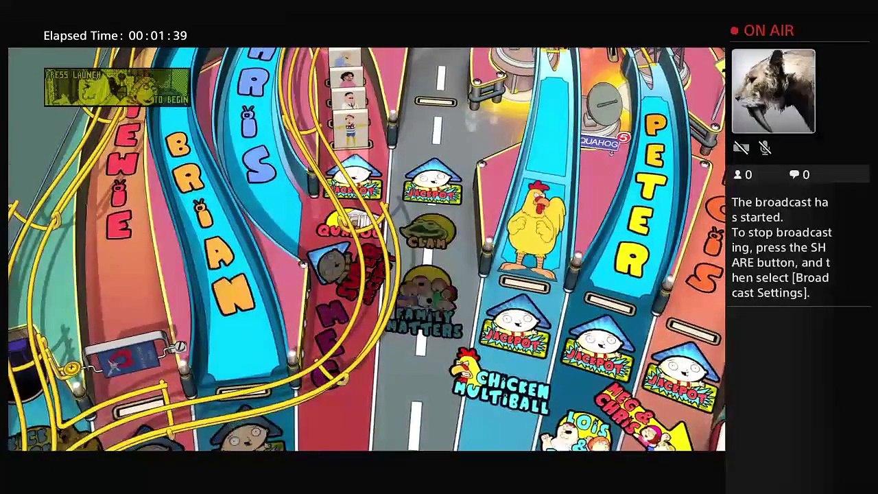 Pinball (30)