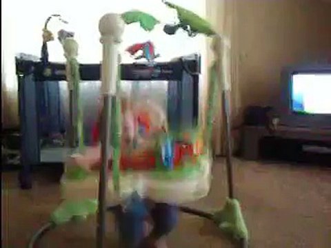Fisher-Price Rainforest Jumperoo Review - Best Baby Jumper