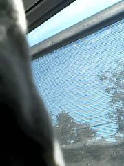 2016-09-17 17.08.02 bob parsons doing illegal satellite surveillance because he is  a peeping tom