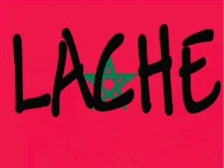 JAW ZARZIS AWLED JWINI