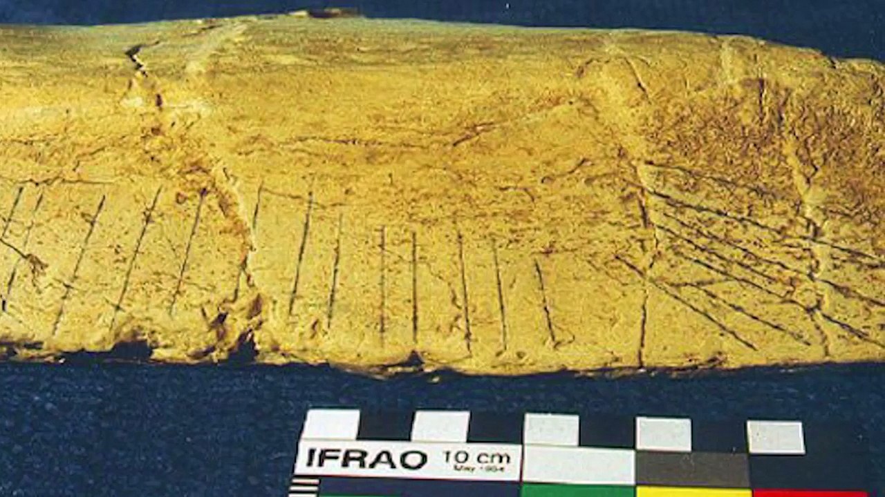 10 Mysterious Discoveries Of Pre Human Art