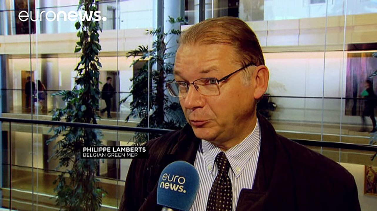 Ungarn-Referendum: Reaktionen aus Straßburg