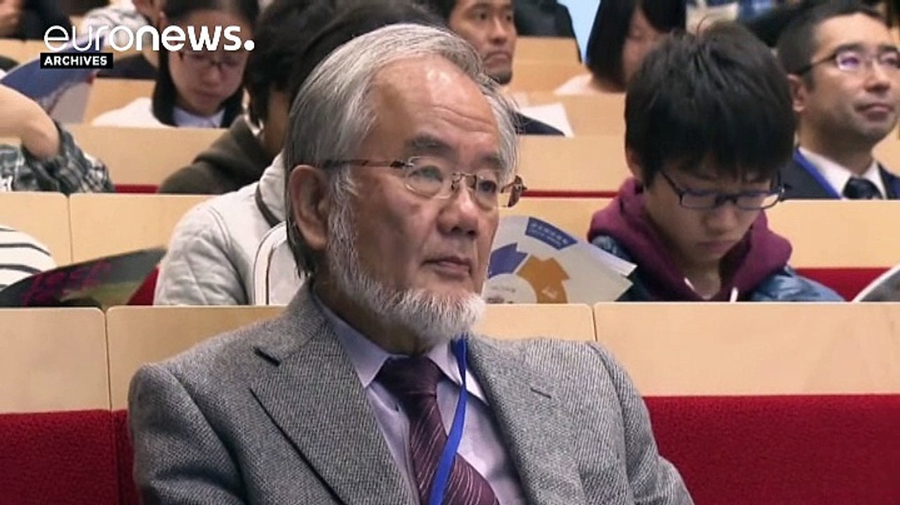 Nobelpreis für medizinisches Recyceln