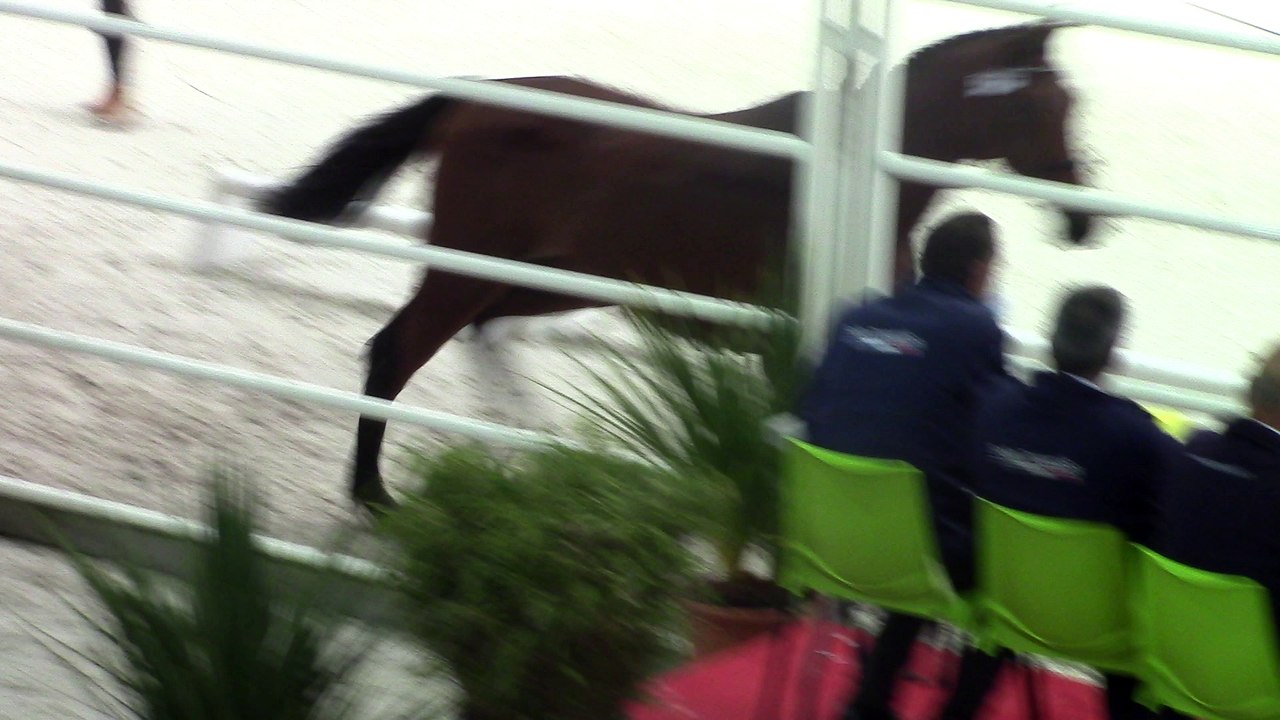 MVI_0524 ENDURO DE GALESTE par IDEAL DE LA LOGE st lo 8.7.16