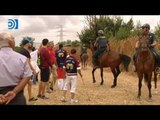 Tordesillas celebra el Toro de la Peña, su primer festejo sin lidia ni muerte
