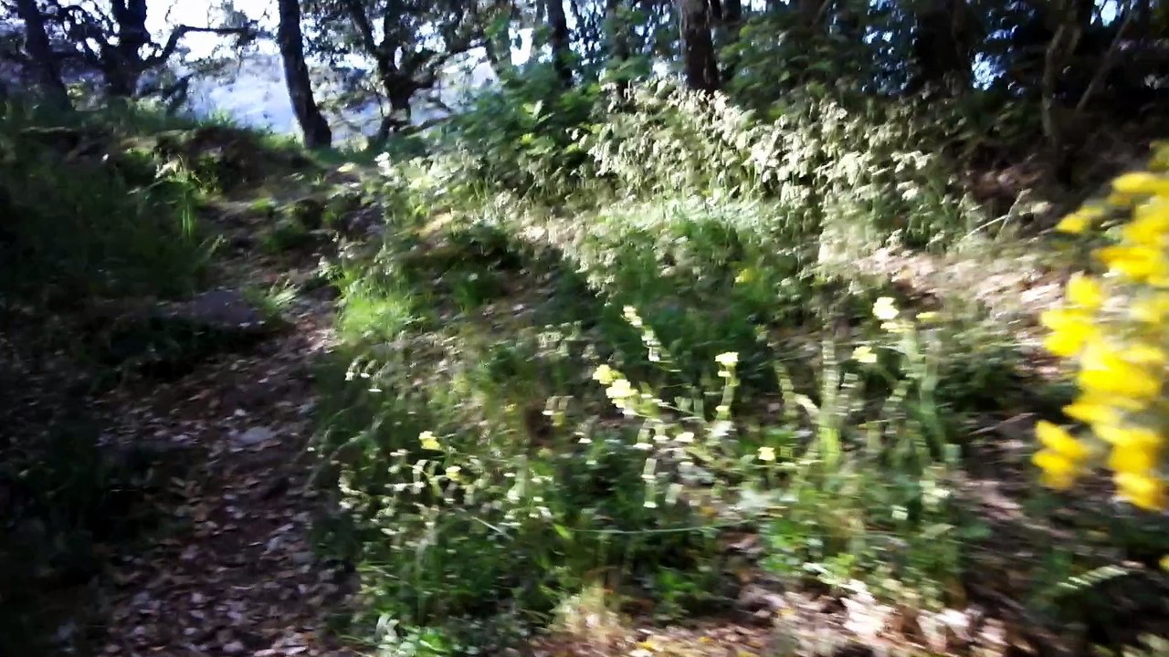 Castro de Marce-Pantón