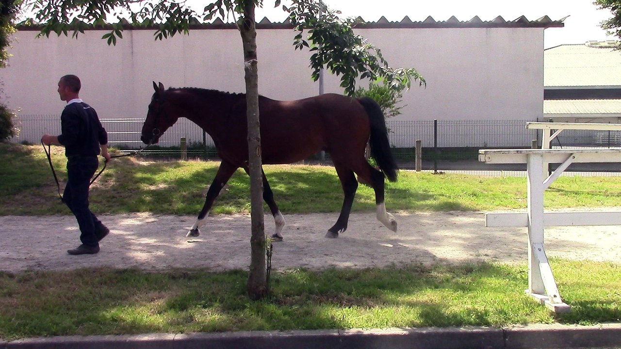MVI_00531 ENDURO DE GALESTE par IDEAL DE LA LOGE st lo 8.7.16