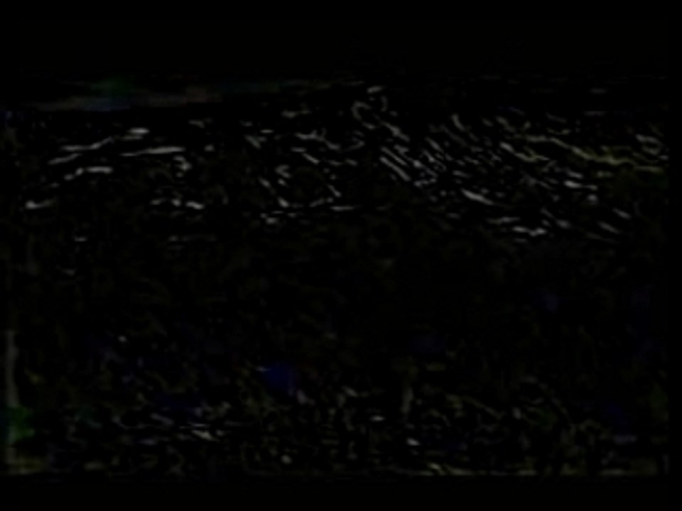 Nightwish - Amaranth