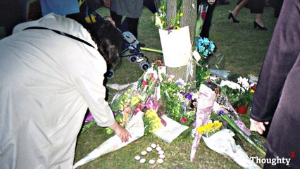 Surprising Facts About- Princess Diana's Crash - YouTube