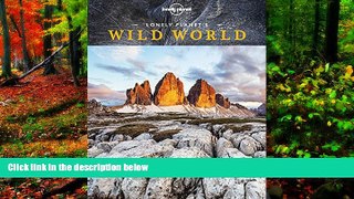 Big Deals  Lonely Planet s Wild World  Best Seller Books Best Seller