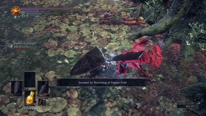 DS3 When invasions go wrong