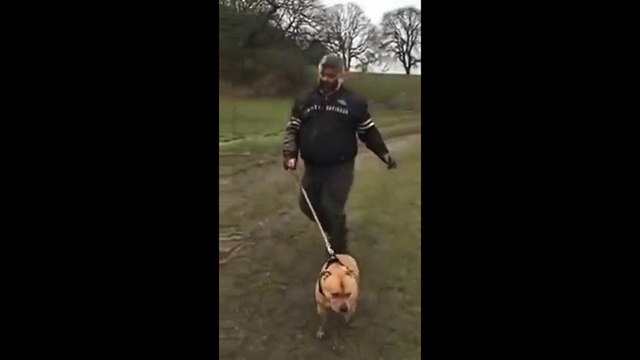 Quand tu ne sais plus si c'est toi qui promène ton chien ou si c'est ton chien qui te promène...