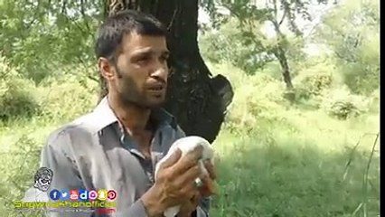 اگر آپ نے یہ ویڈیو شعر نہ کی تو بہت افسوس ہوگا انسانیت پر