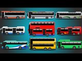 City Buses | Learn Transport of Countries | Bus For Kids | Bus Around The World