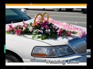 Phoenix Limo Service