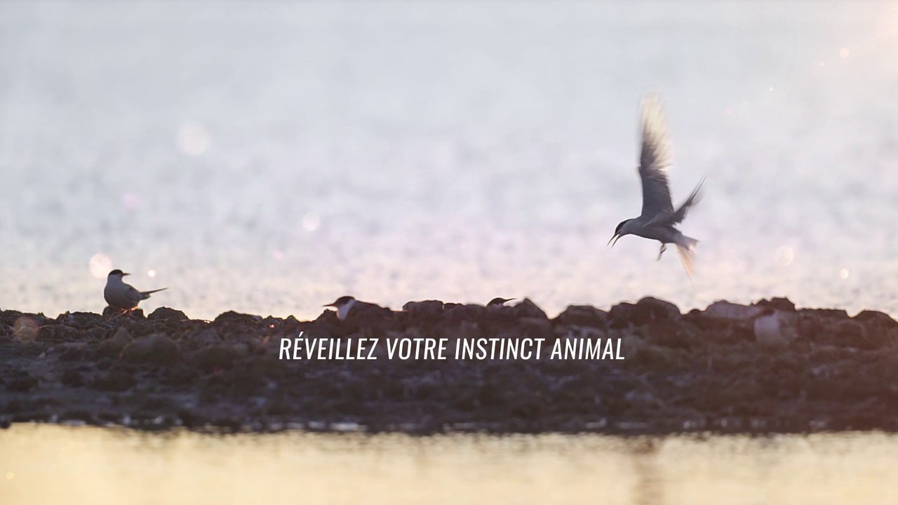 Glisse par Nature : vers la sensibilisation des sportifs - version courte