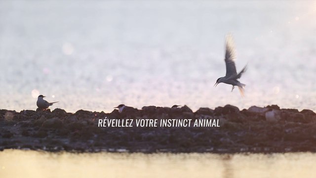 Glisse par Nature : vers la sensibilisation des sportifs - version courte