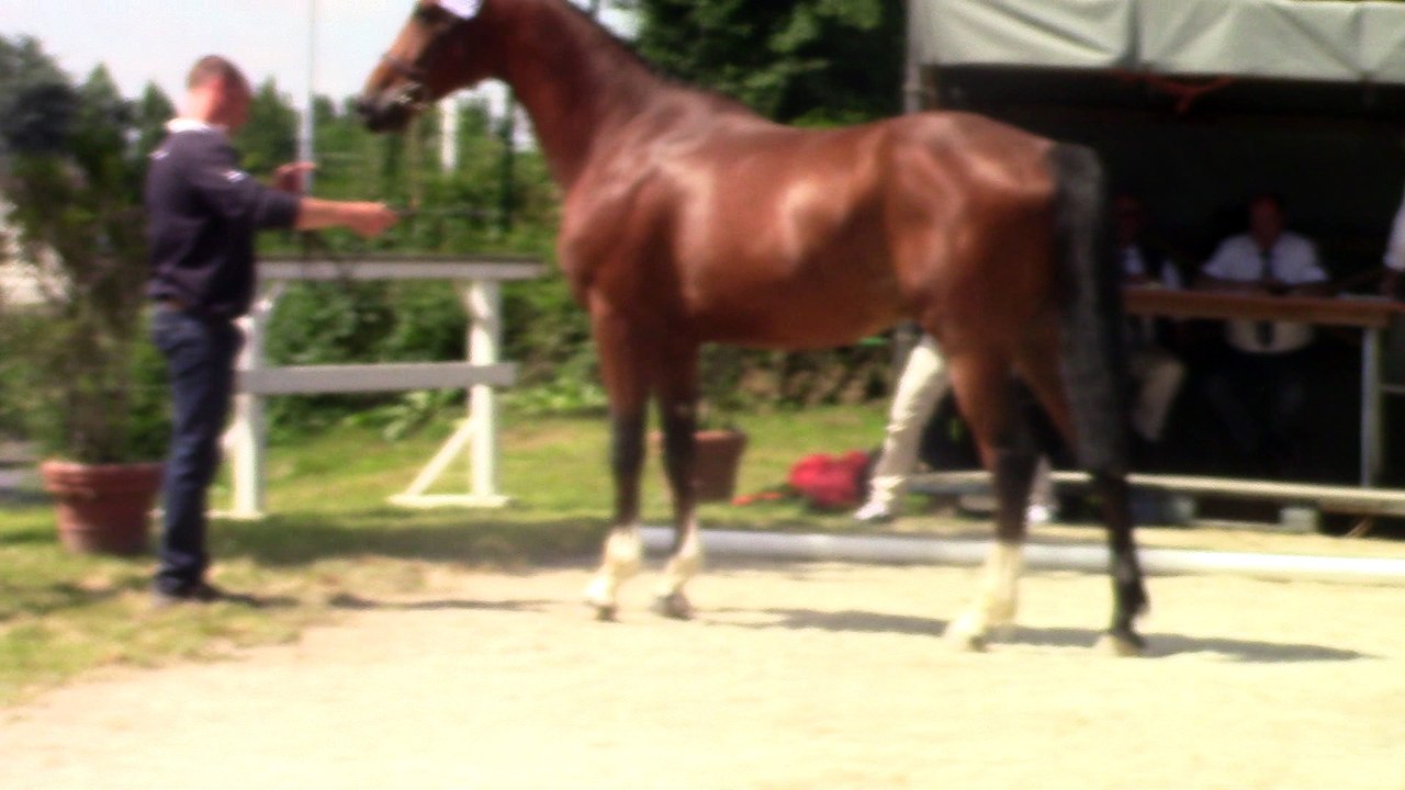 MVI_0528 ENDURO DE GALESTE par IDEAL DE LA LOGE  st lo 8.7.16