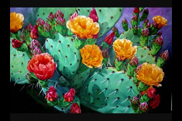 Hoa Xương Rồng ( Thúy Loan cover ) MV Lyrics