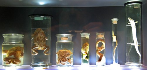 10 Dangerous Chemicals You Should Avoid