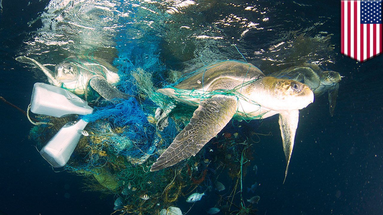 The Great Pacific Garbage Patch is even worse than we thought, researchers say