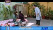 Watch Bulbulay Episode 286 on Ary Digital in High Quality 4th October 2016