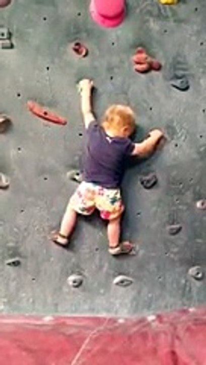 Ce bébé de 2 ans grimpe un mur d'escalade !