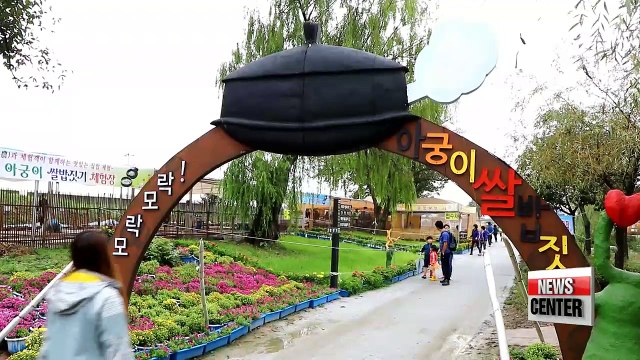 October attractions: Gimje Horizon Festival, Jinju Lantern Festivals