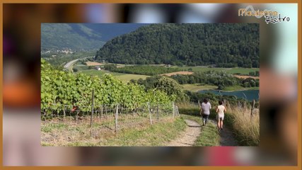 Maurienne Retro # 34 Les vignes de Marido et Bernard Bachelier