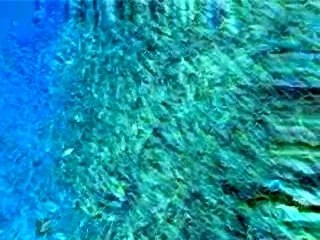 Banc de rougets à nageoires jaunes